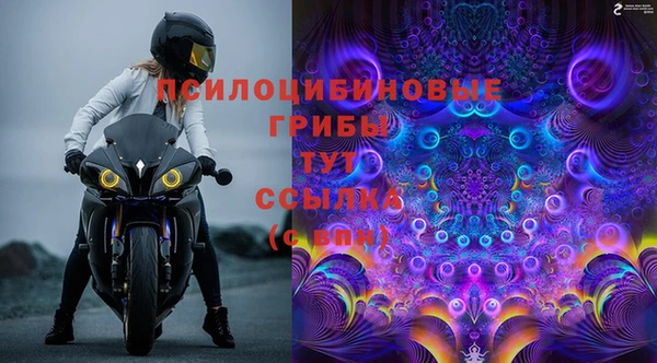 героин Богданович