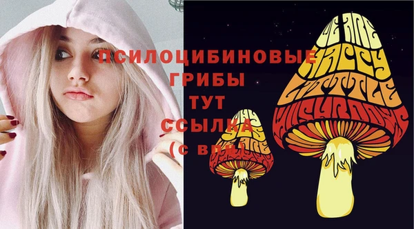 не бодяженный Богородск