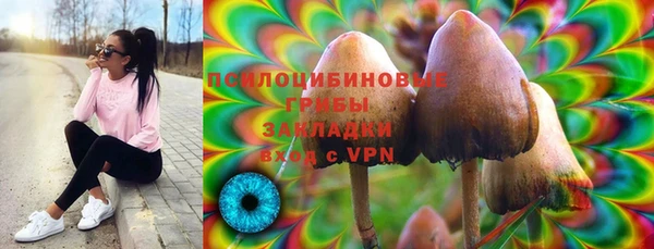 скорость Богородицк