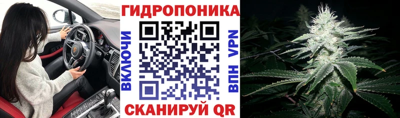 Конопля OG Kush  закладка  Духовщина 
